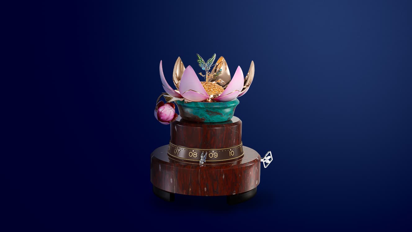 Floraison du Nénuphar