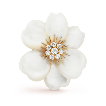 Rose de Noël clip, large model