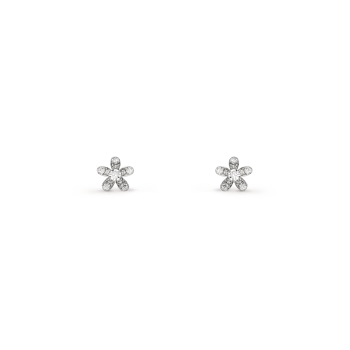 VCARG44100 - Puces d'oreilles Socrate 1 fleur