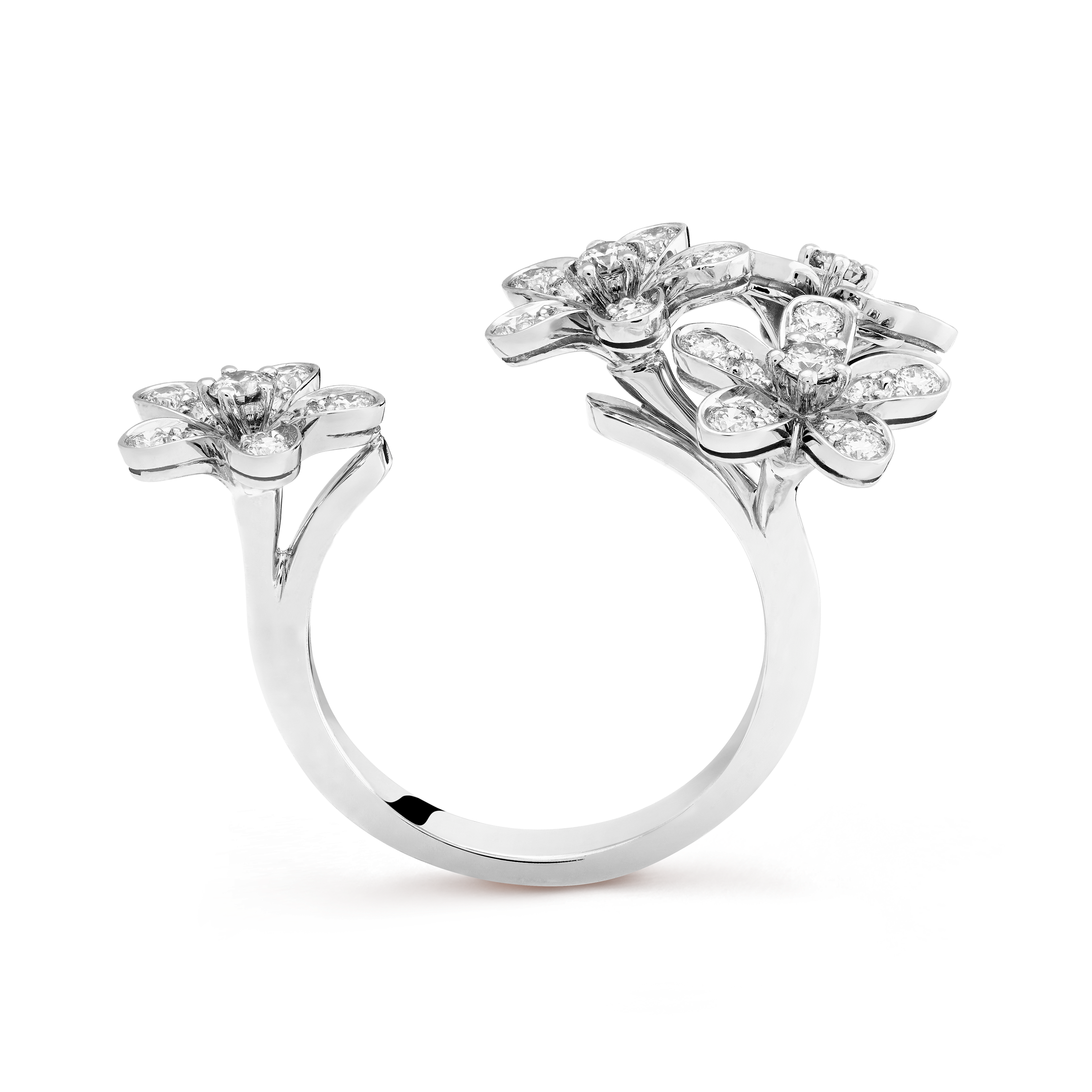 van cleef socrate ring