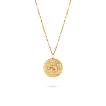 ゾディアック メダル アクアリィ (水瓶座) 18K イエローゴールド
