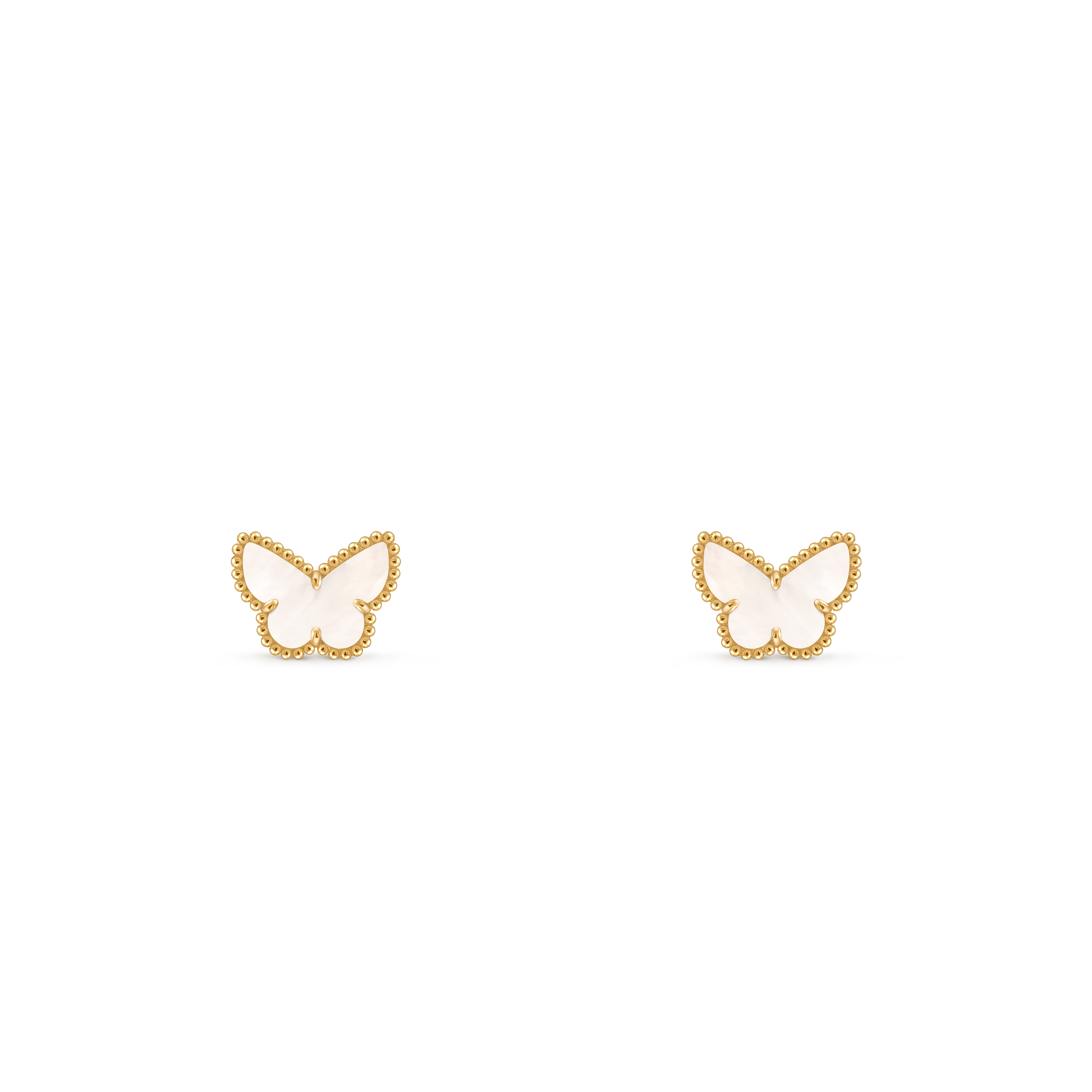 Faune