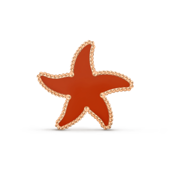 Lucky Summer Starfish clip