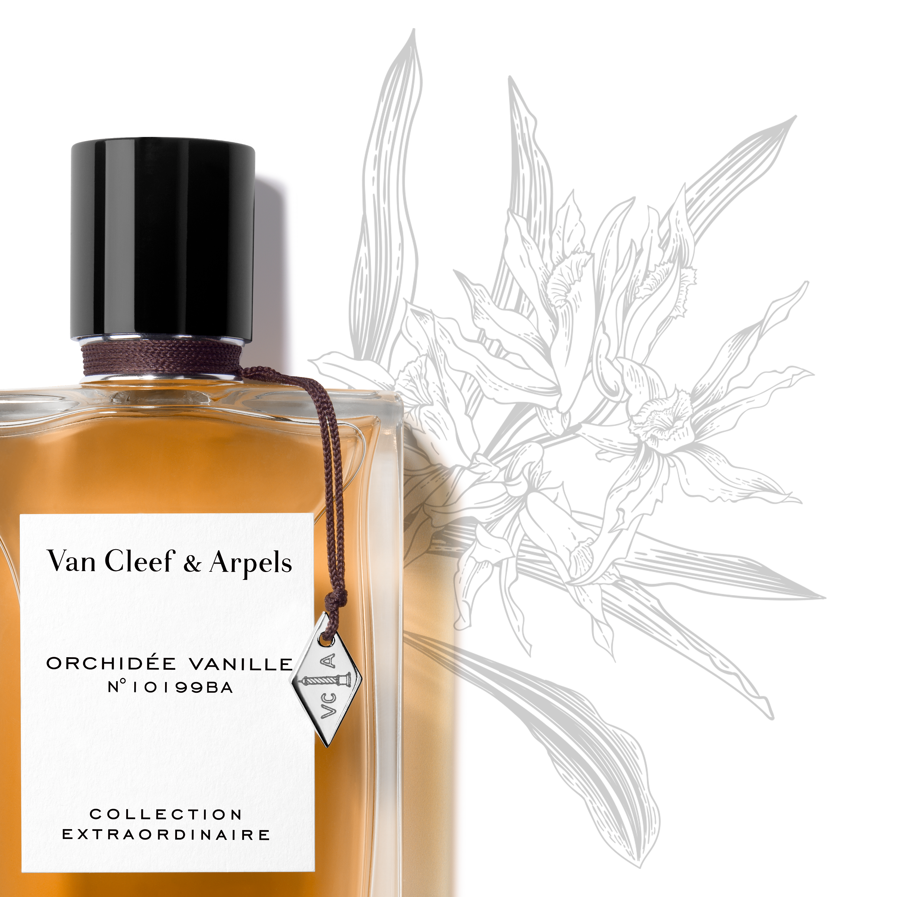オーキデ ヴァニーユ オードパルファム オードパルファム - ヴァン クリーフ&アーペル - Van Cleef & Arpels