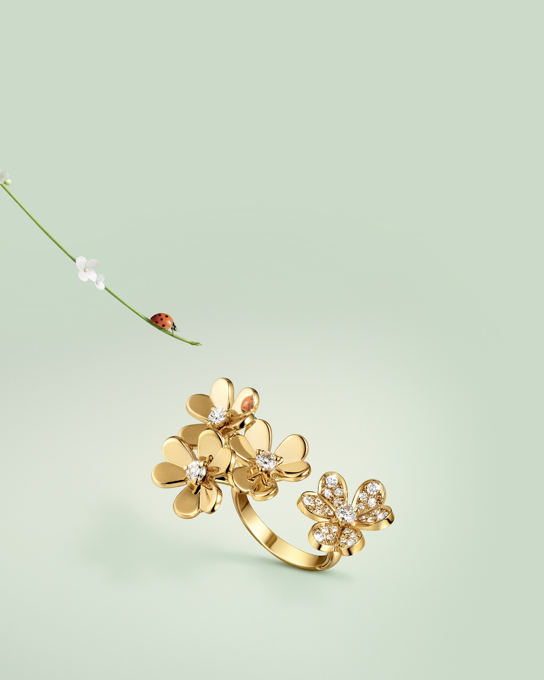 van cleef and arpels france