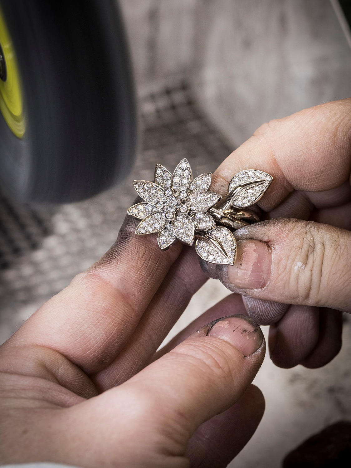 فلورا، حرفية، مجموعة فلورا، دار فان كليف أند آربلز