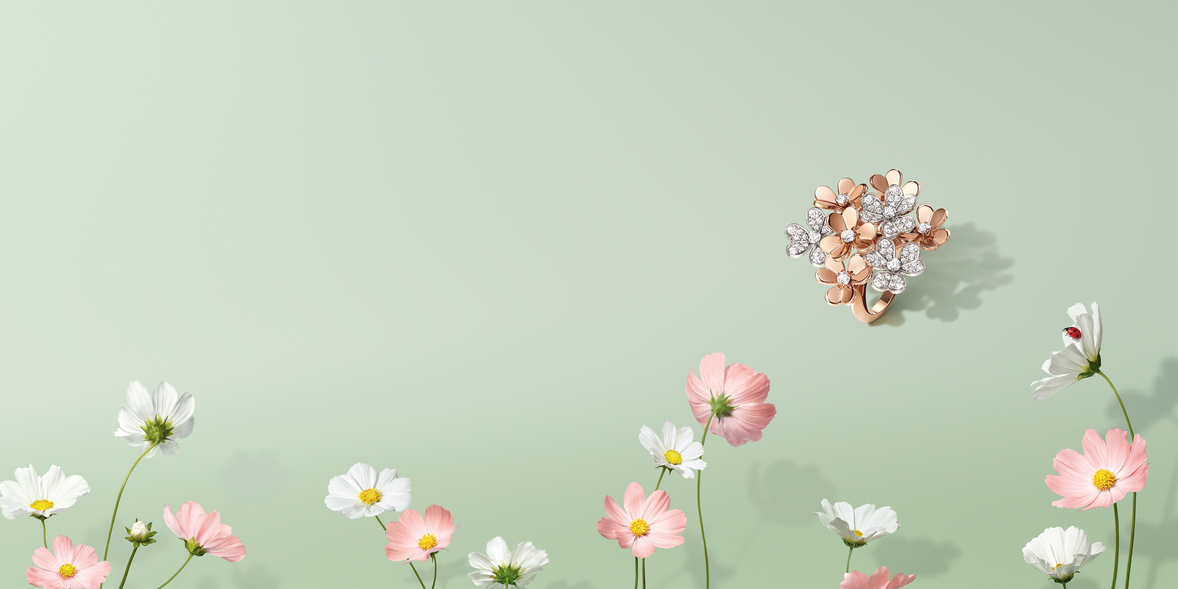 Image 61: Frivole ring, 8 flowers, 18K rose gold, rhodium-plated 18K white gold, diamonds. Frivole collection, Van Cleef & Arpels.