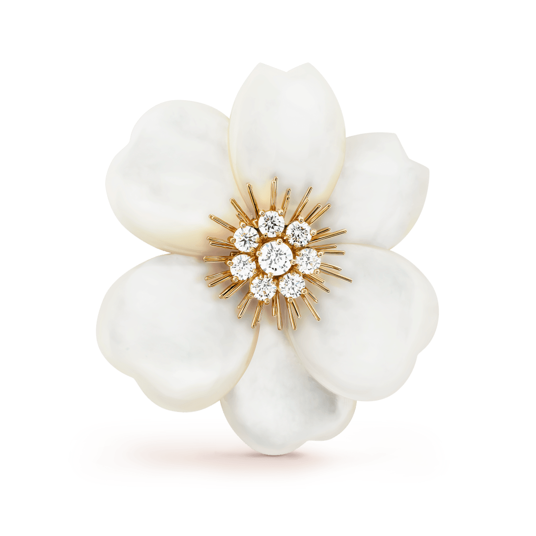 Maison Van Cleef & Arpels Jewelry and High Jewelry, place Vendôme in