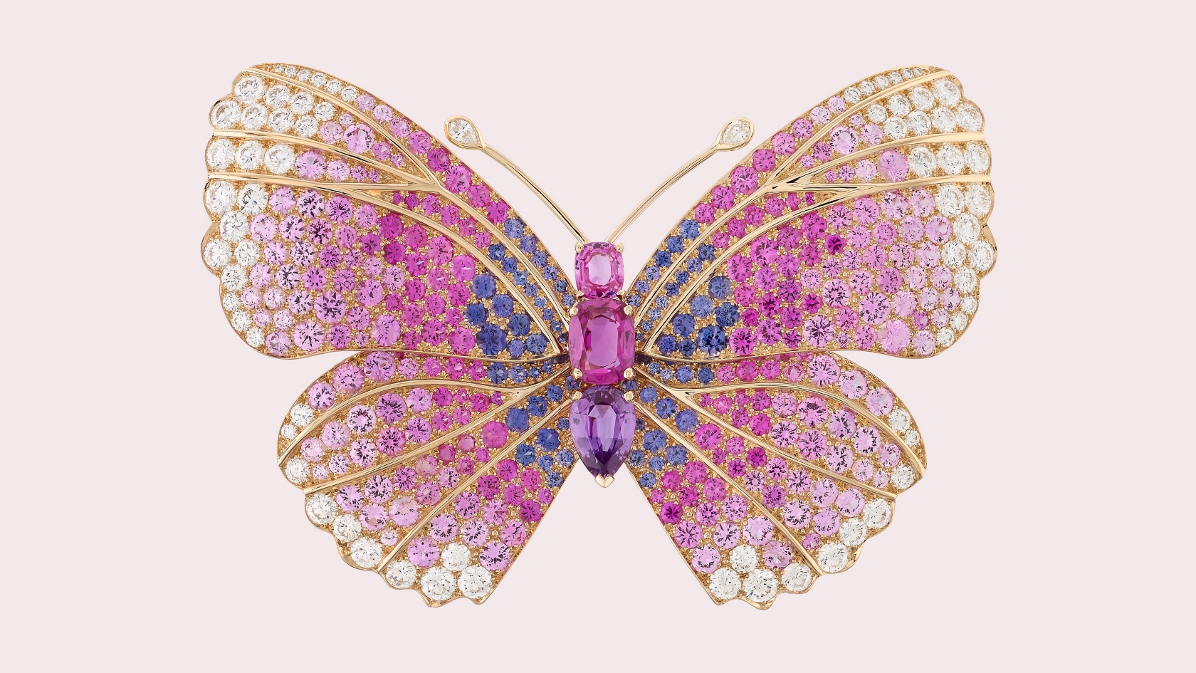 Papillon Tricis胸针,玫瑰金,圆形及梨形钻石,圆形、梨形及枕形切割彩色蓝宝石,Butterflies系列,Van Cleef & Arpels梵克雅宝