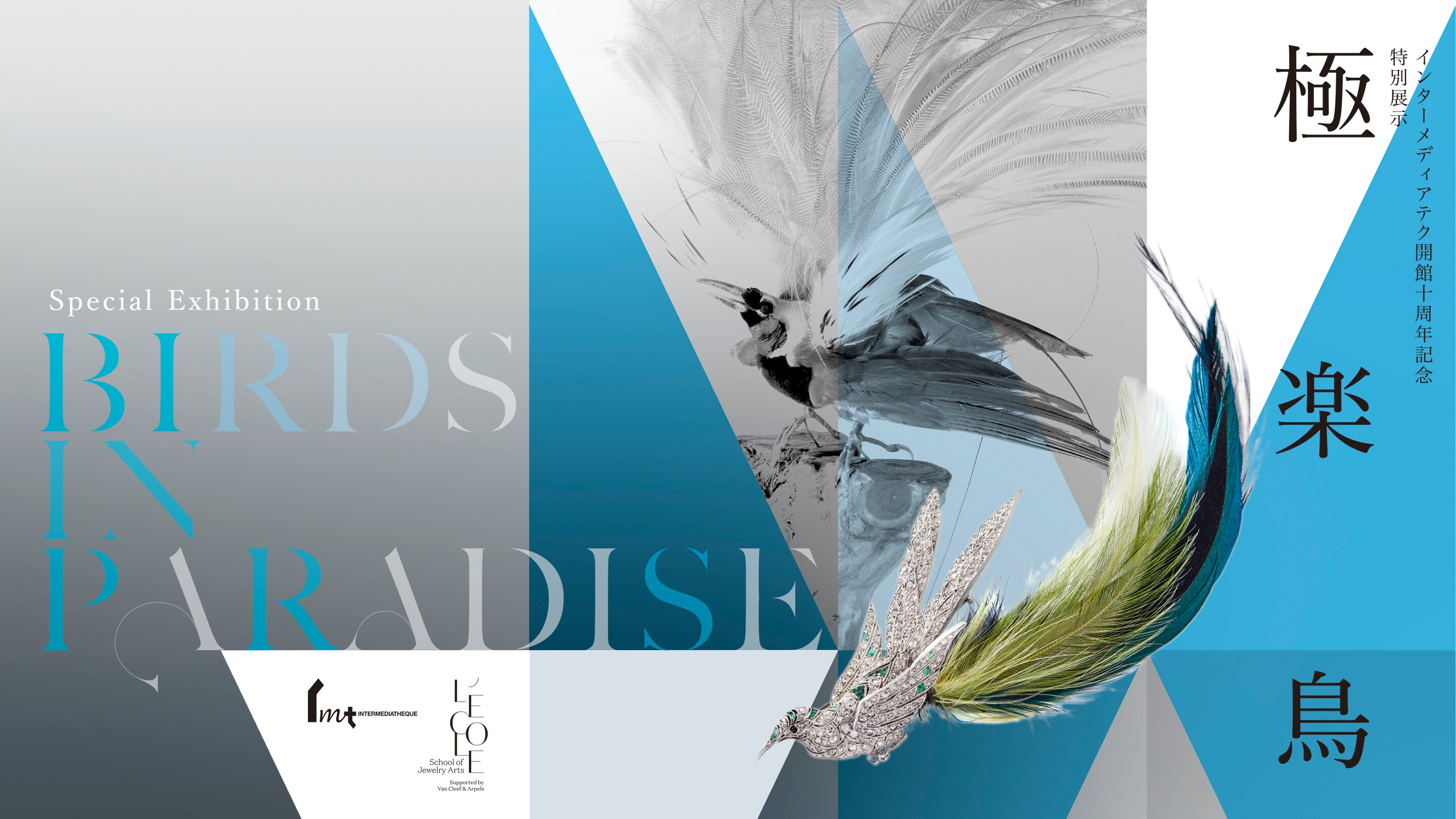 The Maison supports the exhibition "Birds in Paradise" for the 10th anniversary of JP Tower Museum Intermediatheque