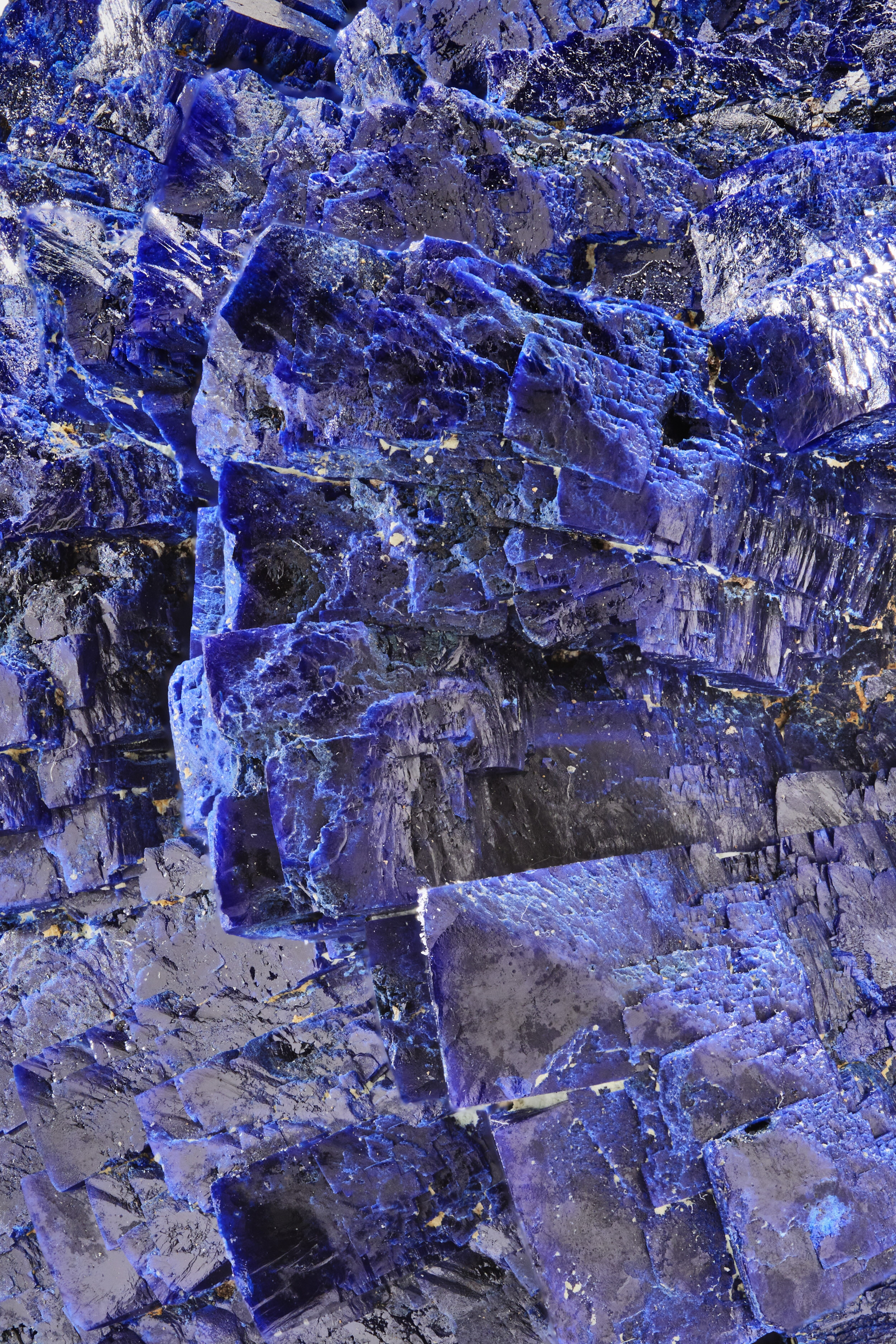 mowl ヘトロジェニティKALON Exhibition Edition Heterogeneity KALON Exhibition Edition / Verdant Sparkle – mowl