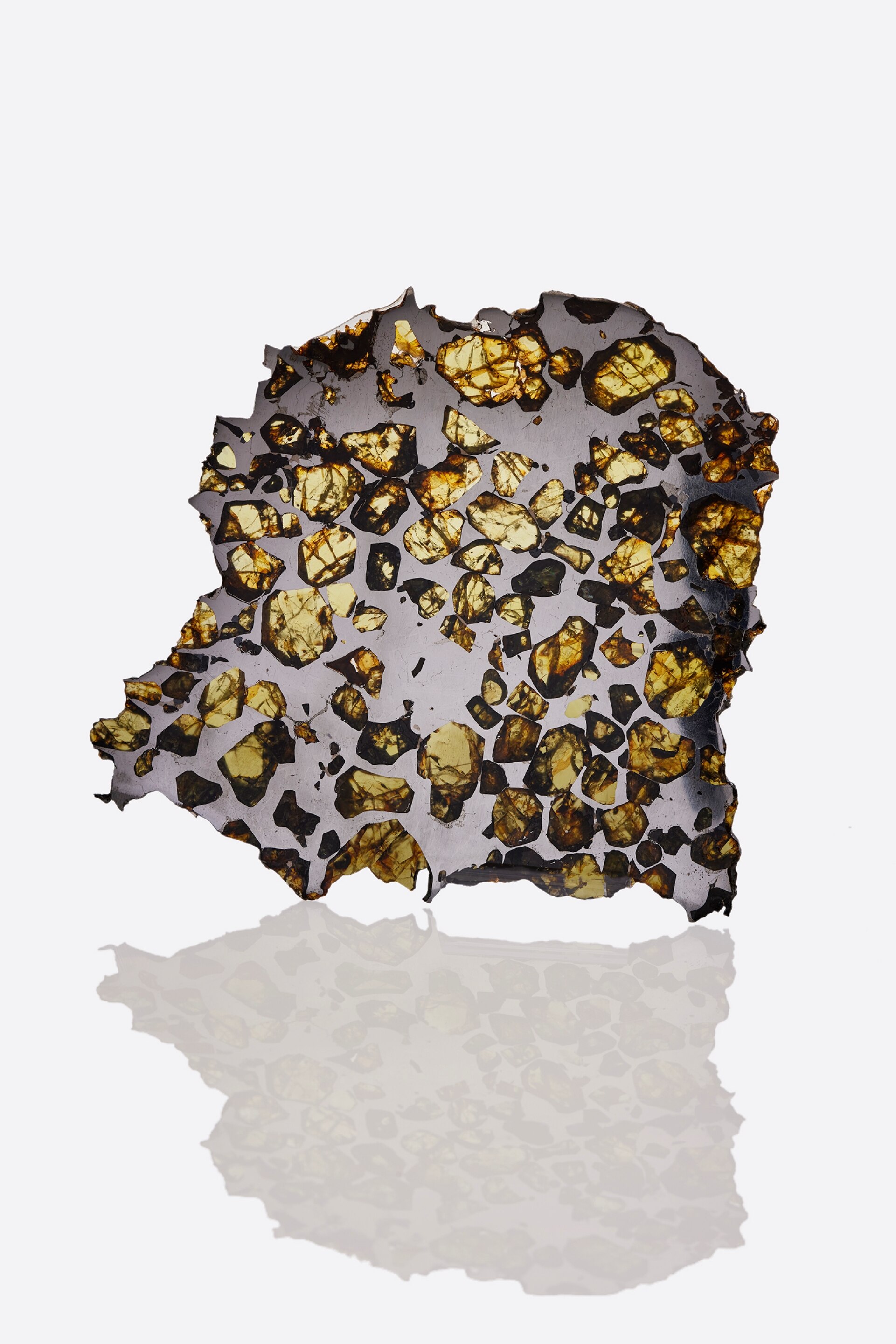 Pallasite "Esquel", Meteorite. Collection of the Mineralogy Museum of Mines Paris – PSL .© L’ÉCOLE, School of Jewelry Arts - Photo: Benjamin Chelly. Van Cleef & Arpels.