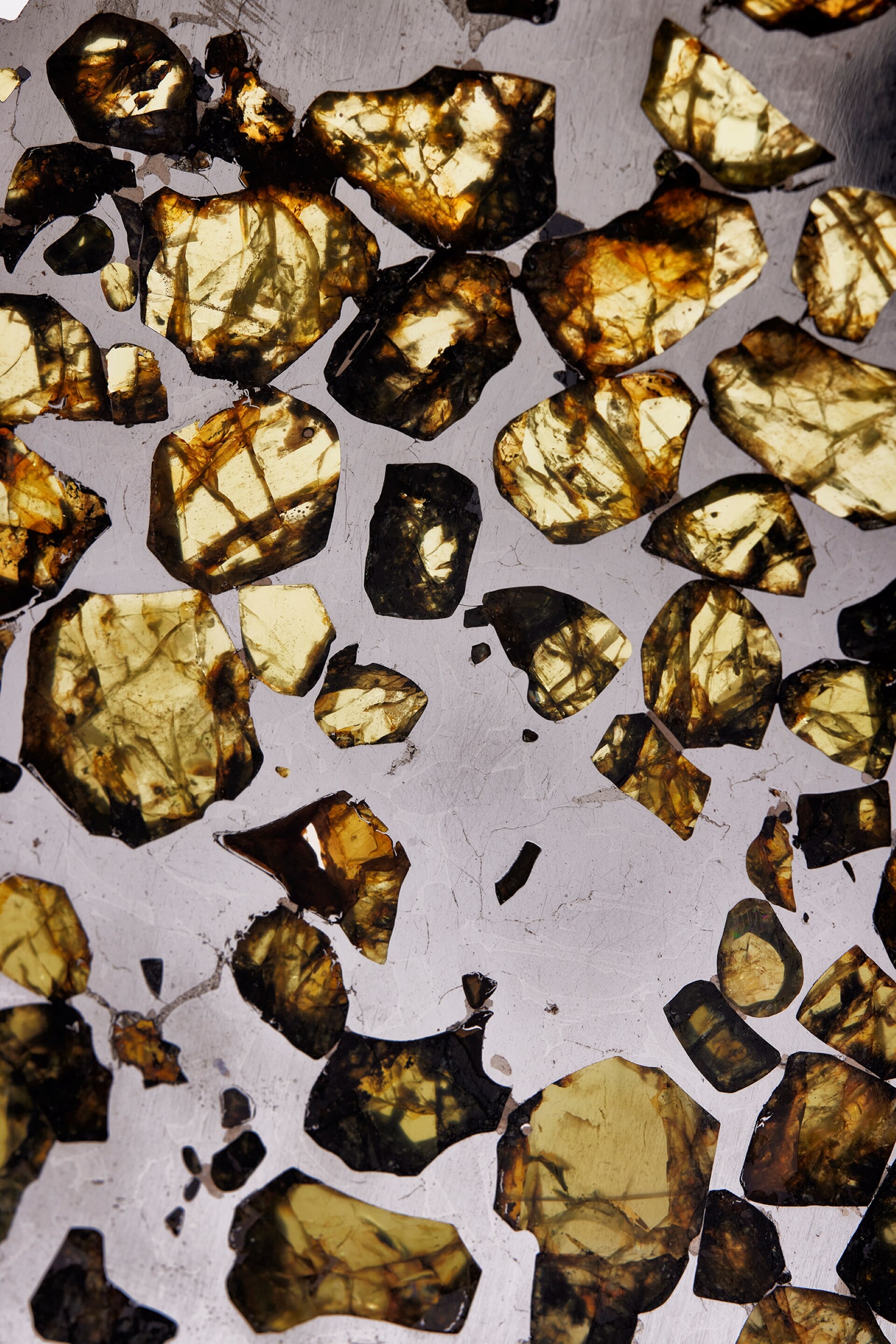 Pallasite "Esquel", Meteorite. Collection of the Mineralogy Museum of Mines Paris – PSL .© L’ÉCOLE, School of Jewelry Arts - Photo: Benjamin Chelly. Van Cleef & Arpels.