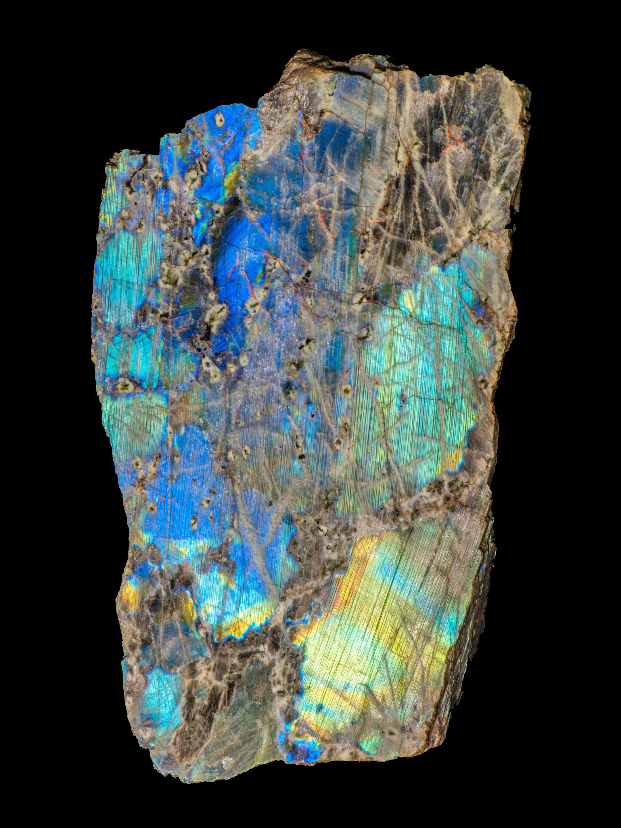 Anorthite, var. labradorite. Paris, Muséum national d’histoire naturelle, mineral and gem collection. Photograph by François Farges.
