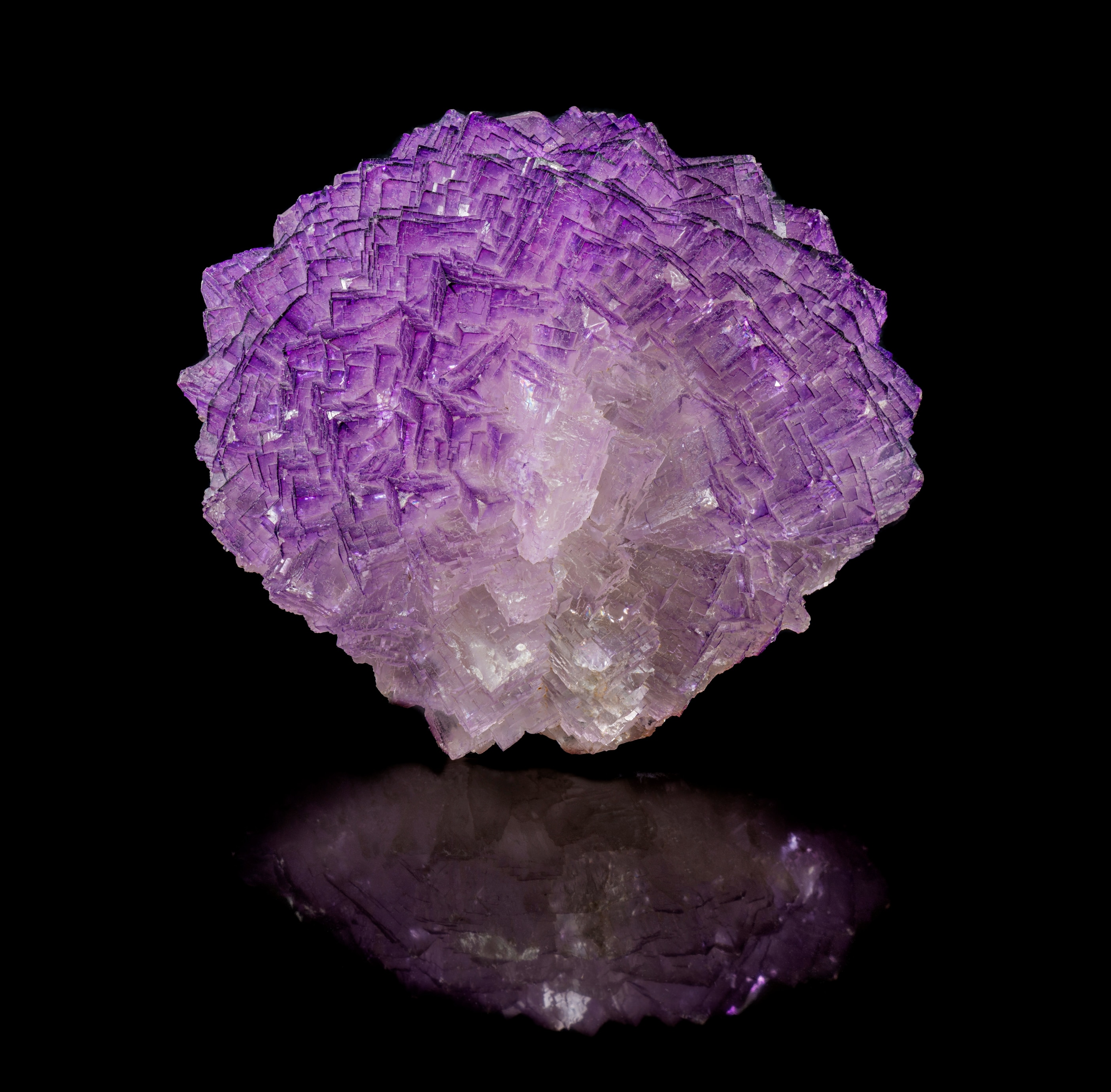 Fluorite. Paris, Muséum national d’histoire naturelle, mineral and gem collection. Photograph by François Farges.
