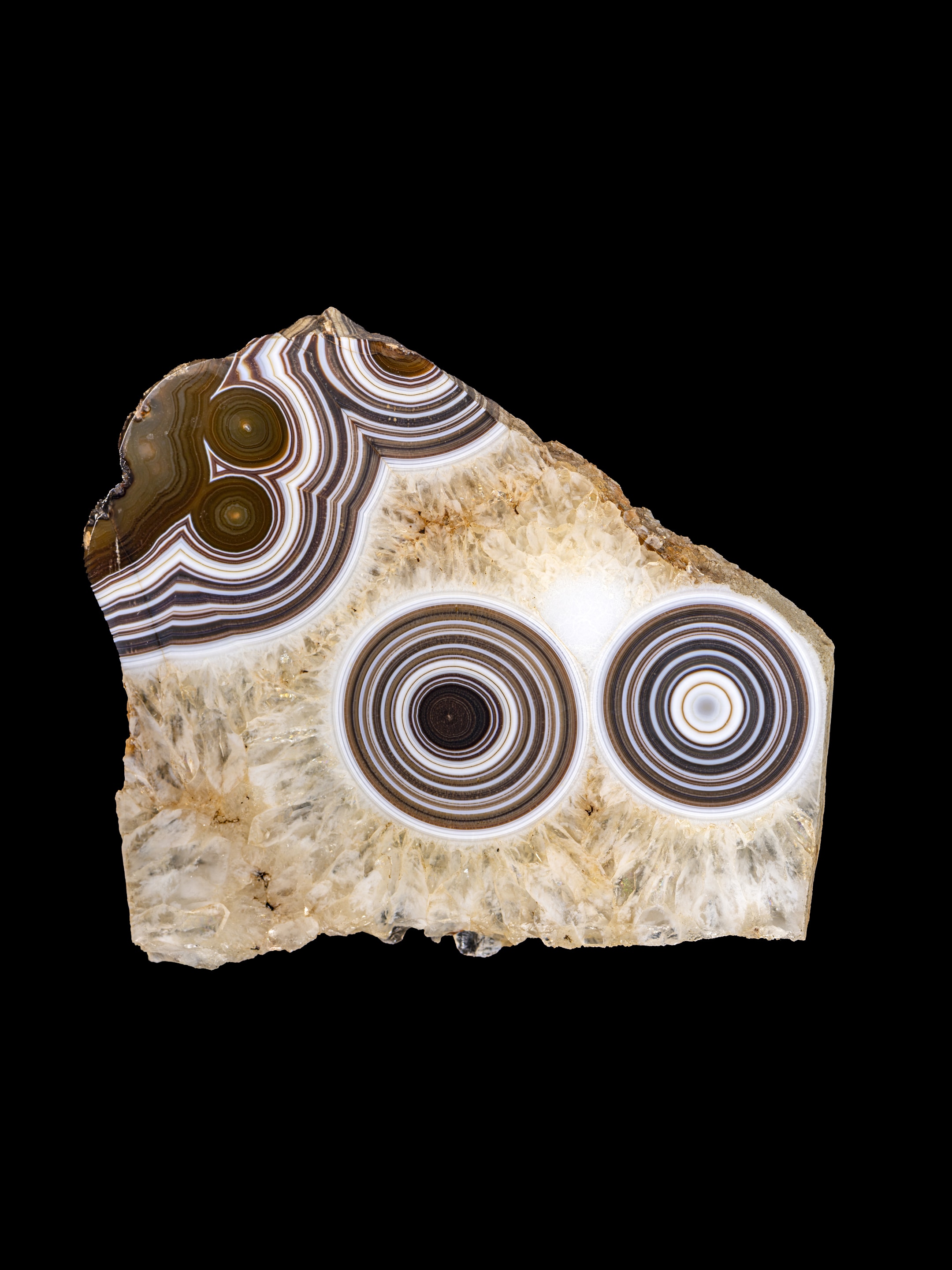“Oeil et binocle” (Eye and pince-nez), eye agate in quartz. Paris, Muséum national d'histoire naturelle, mineral and gem collection. Photograph by François Farges.