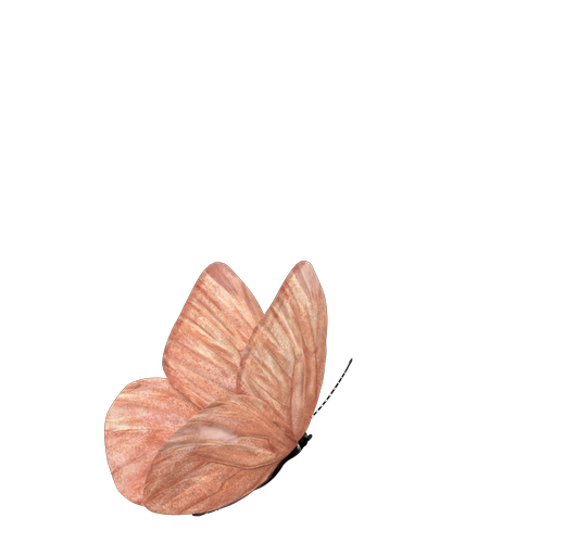 bem-video-block-butterfly-animation
