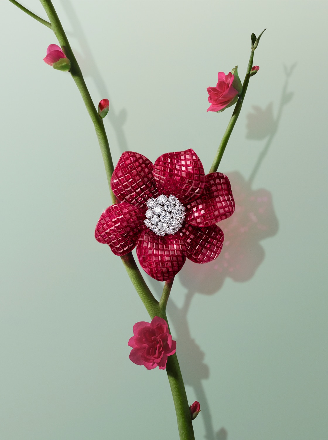 Mandeliva clip. Platinum, 18K rose gold, 18K white gold, Traditional Mystery Set rubies, diamonds. Flowers collection, Van Cleef & Arpels.