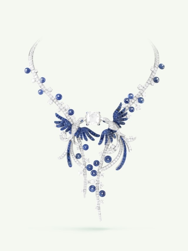 Oiseaux de Paradis®