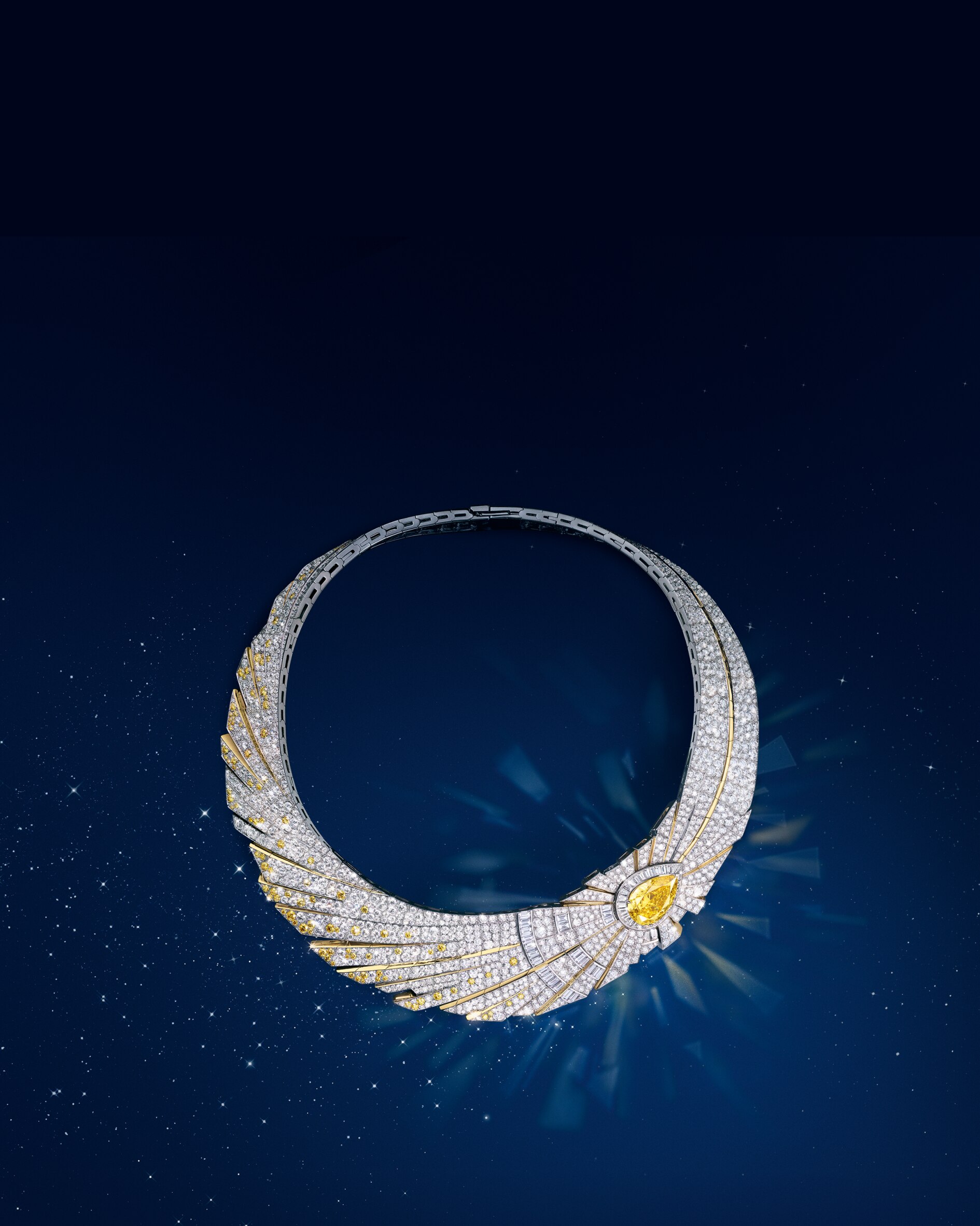 Discover the collection