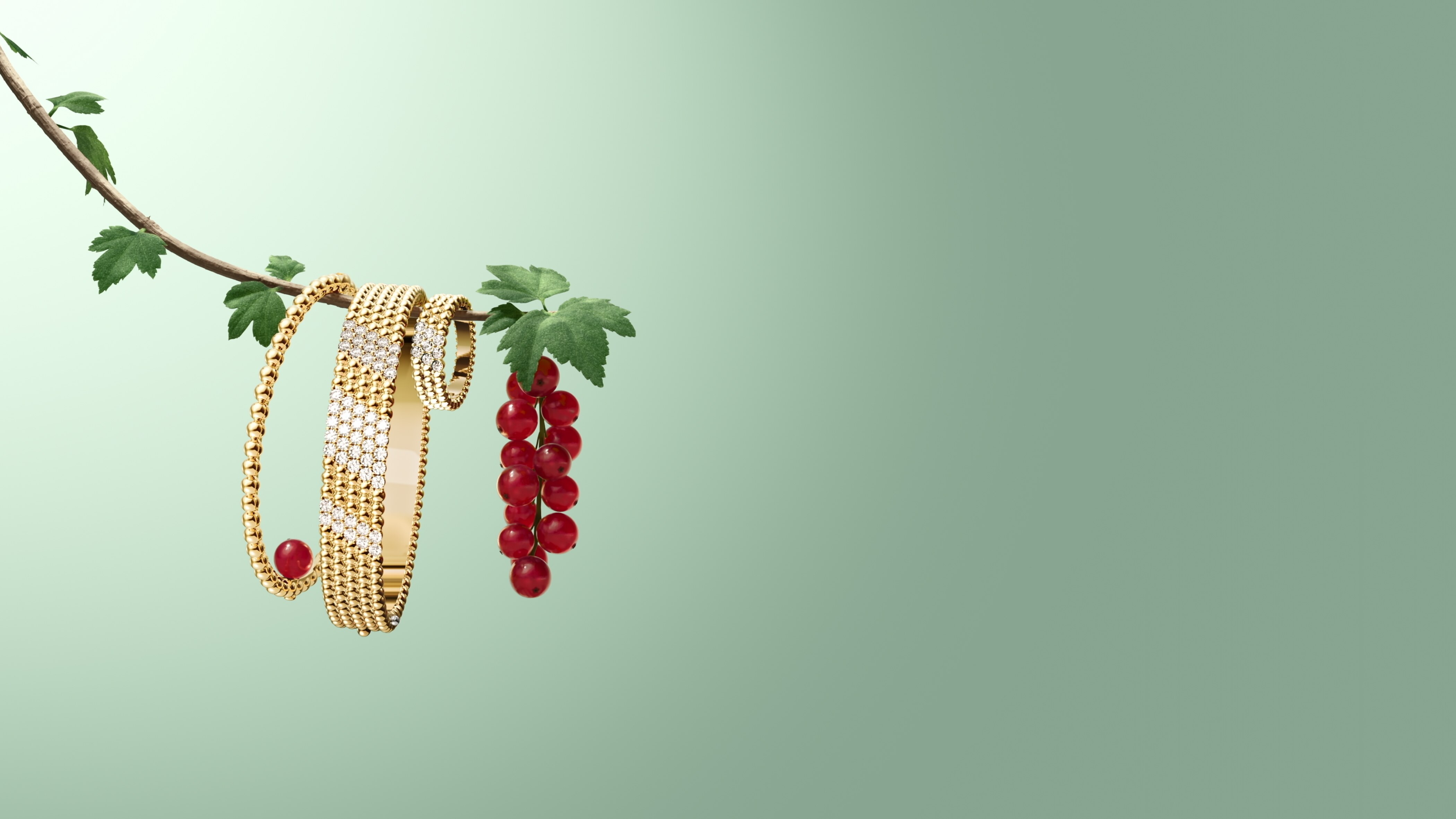 Discover the collection