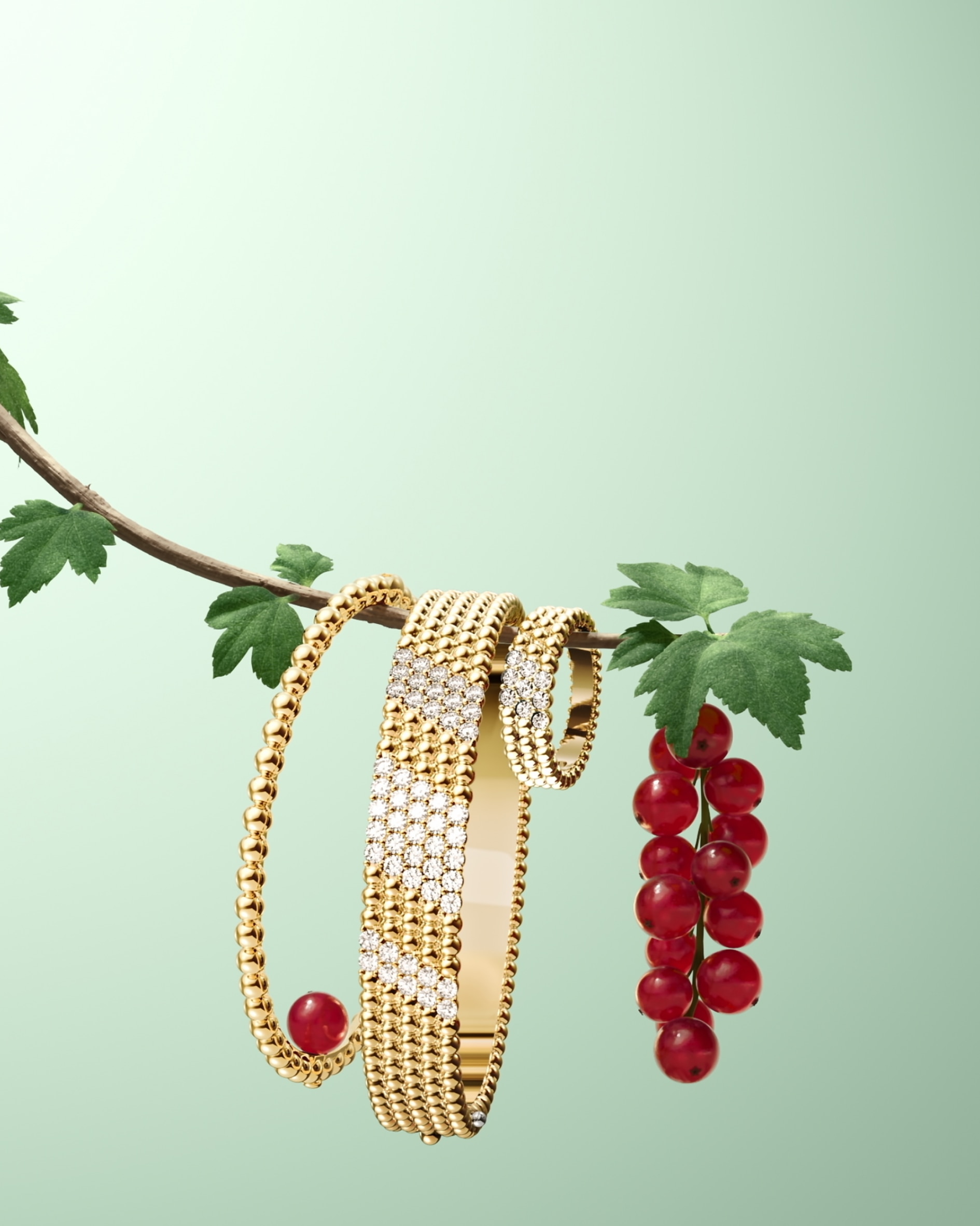 Perlée® 系列，Van Cleef & Arpels 梵克雅寶。