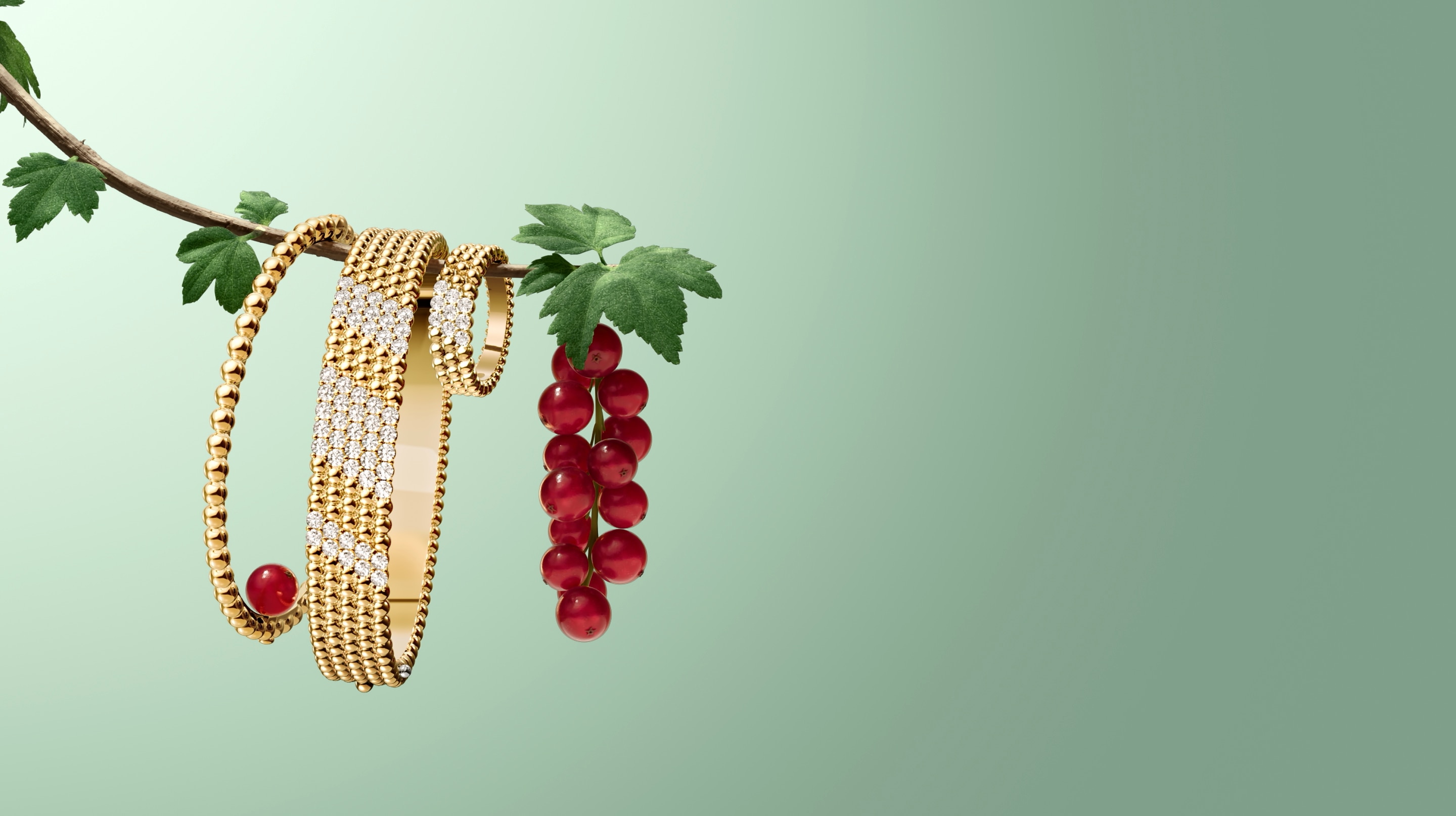 Discover the collection