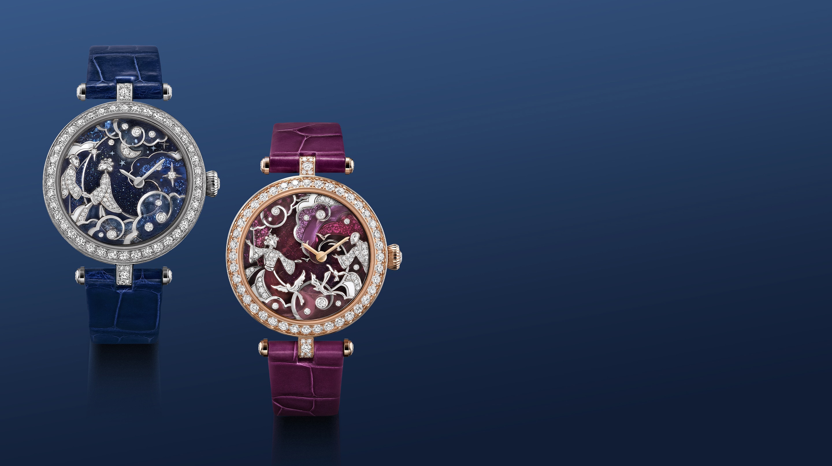 Discover the collection