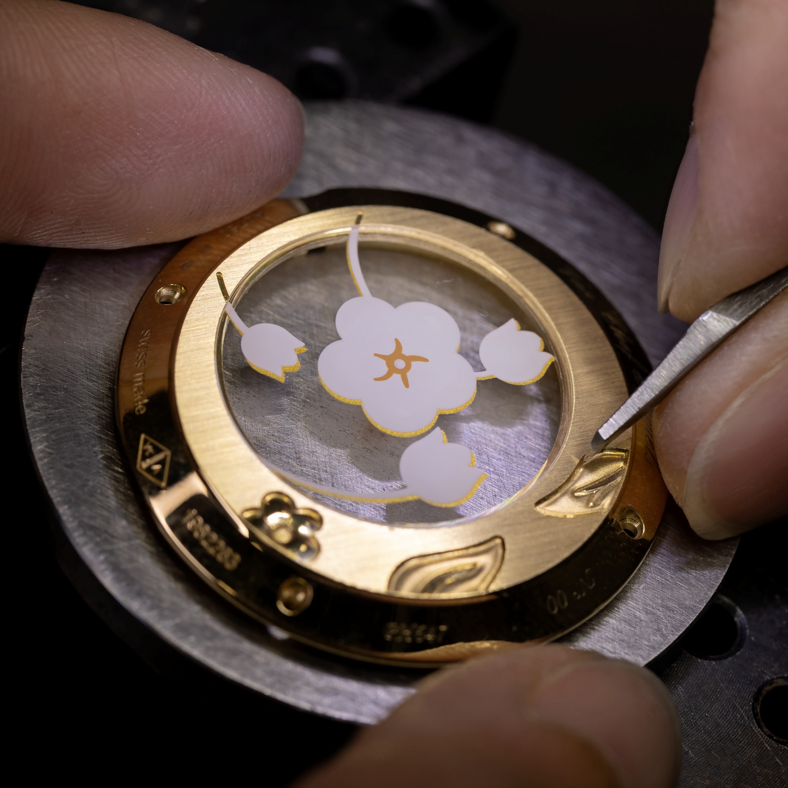 نقش الغطاء الخلفي، فان كليف أند آربلز.