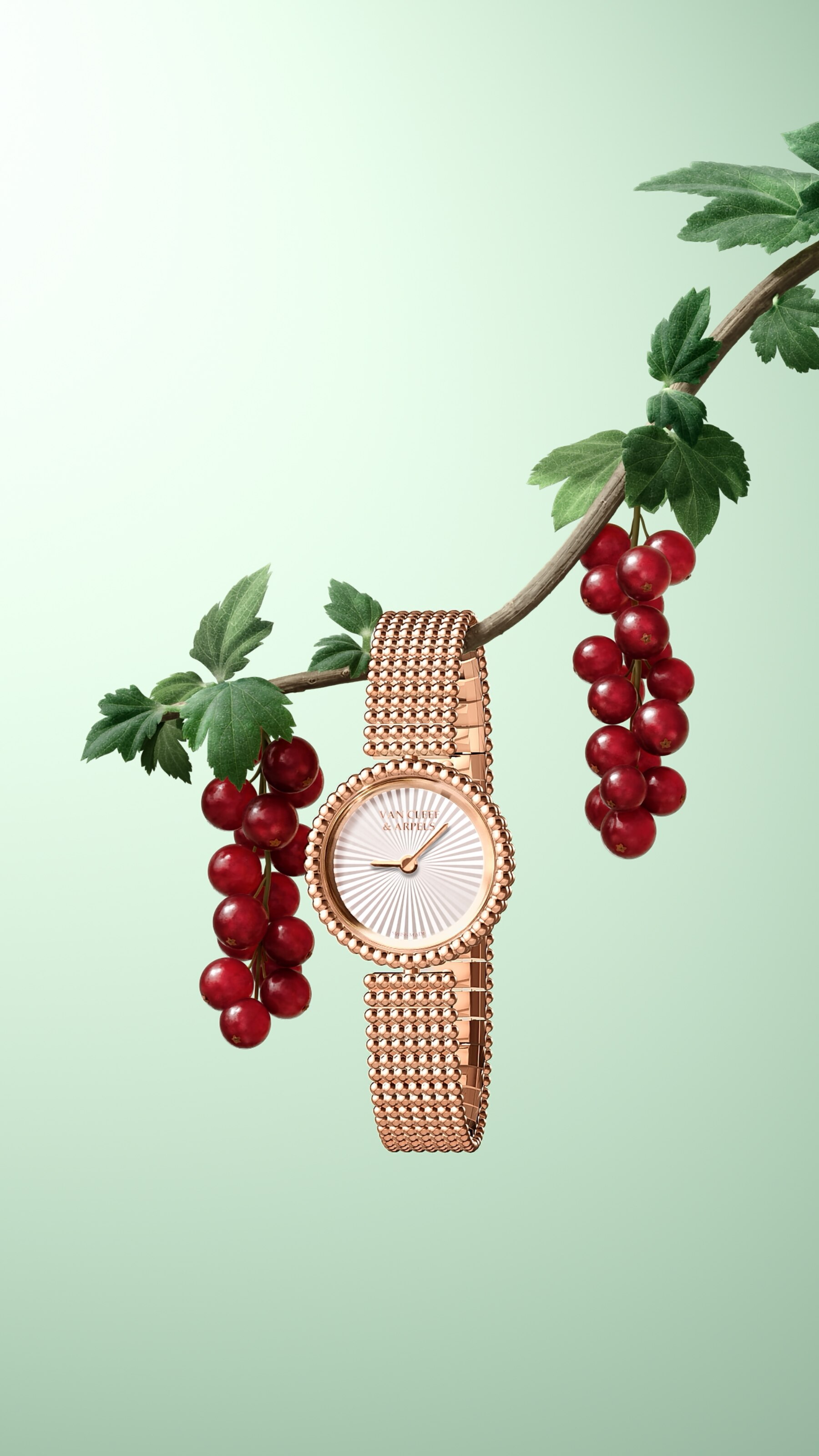 ペルレ® ウォッチ - ヴァン クリーフ&アーペル - Van Cleef & Arpels