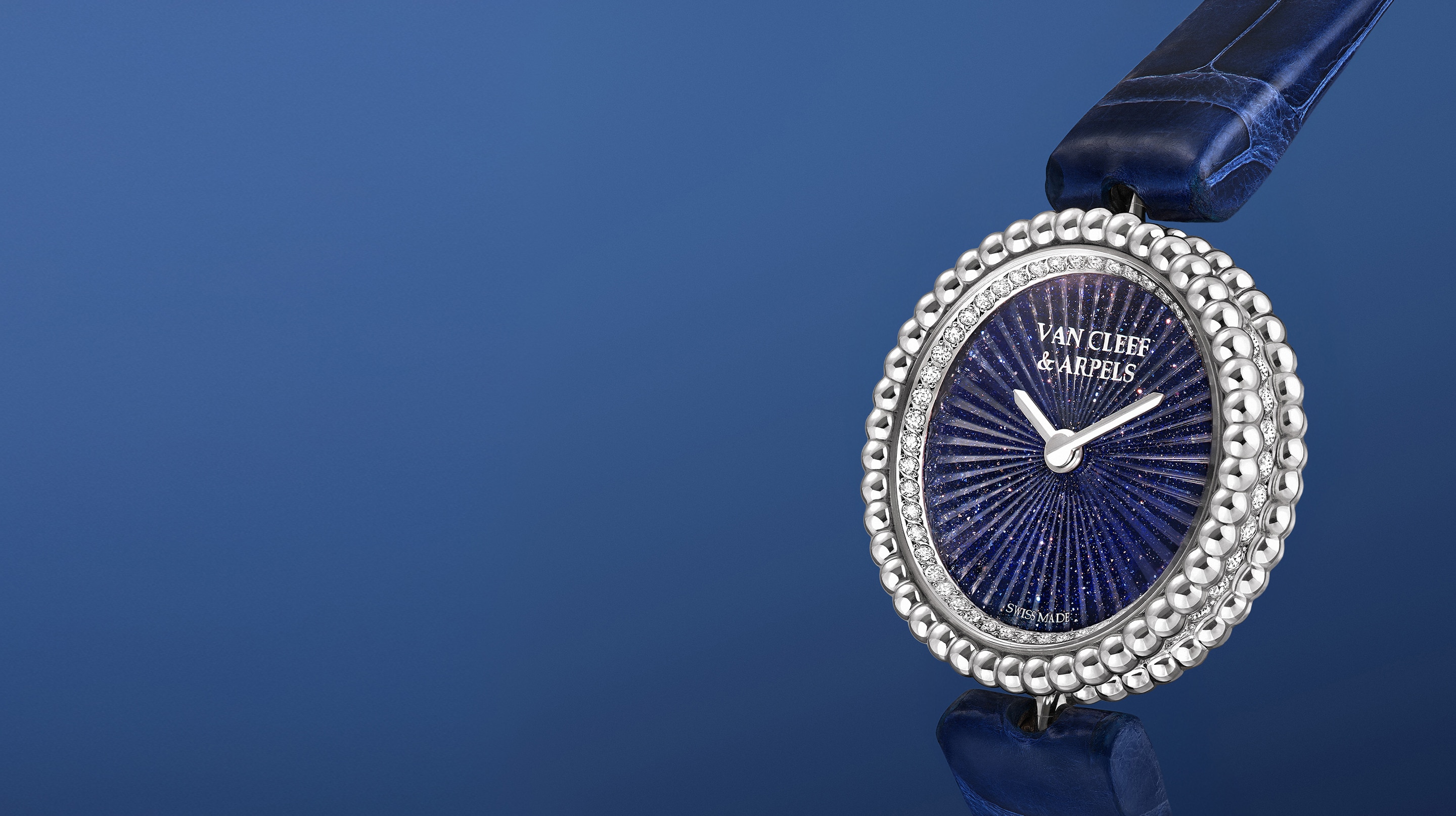 Discover the collection