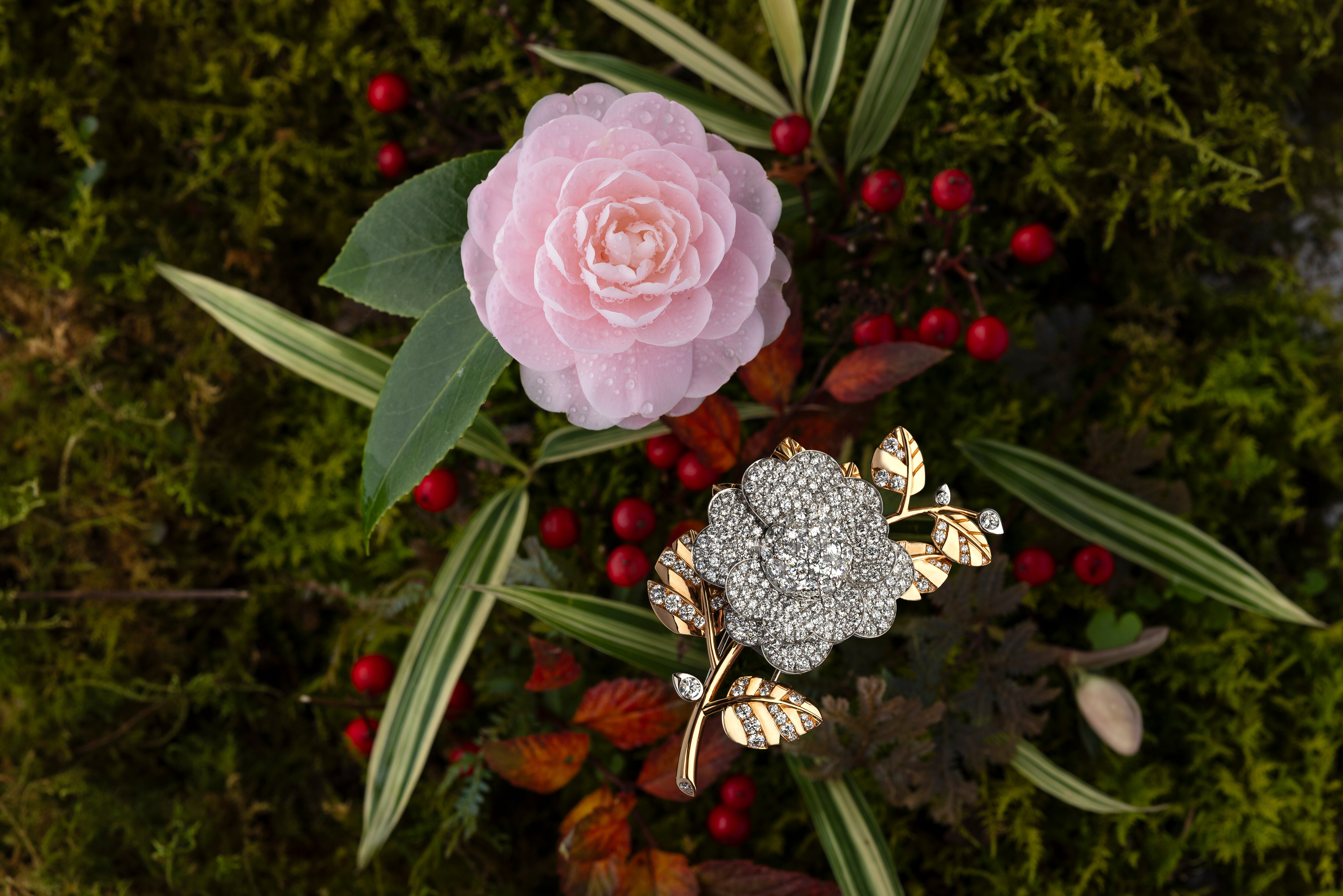 Light of Flowers, Van Cleef & Arpels.