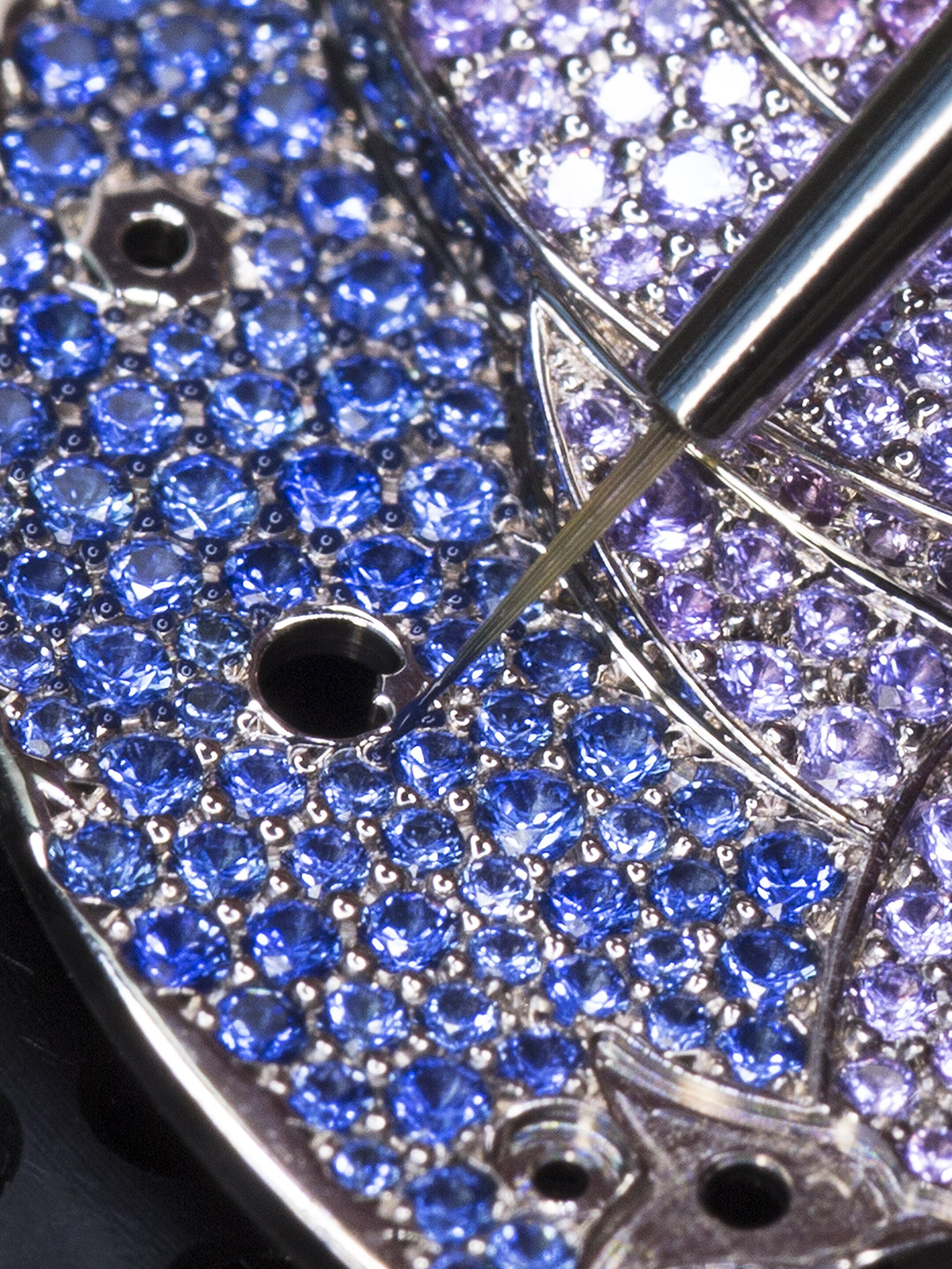 Miniature painting on the dial of the Lady Arpels Papillon Automate watch, Poetic Complications collection. Van Cleef & Arpels