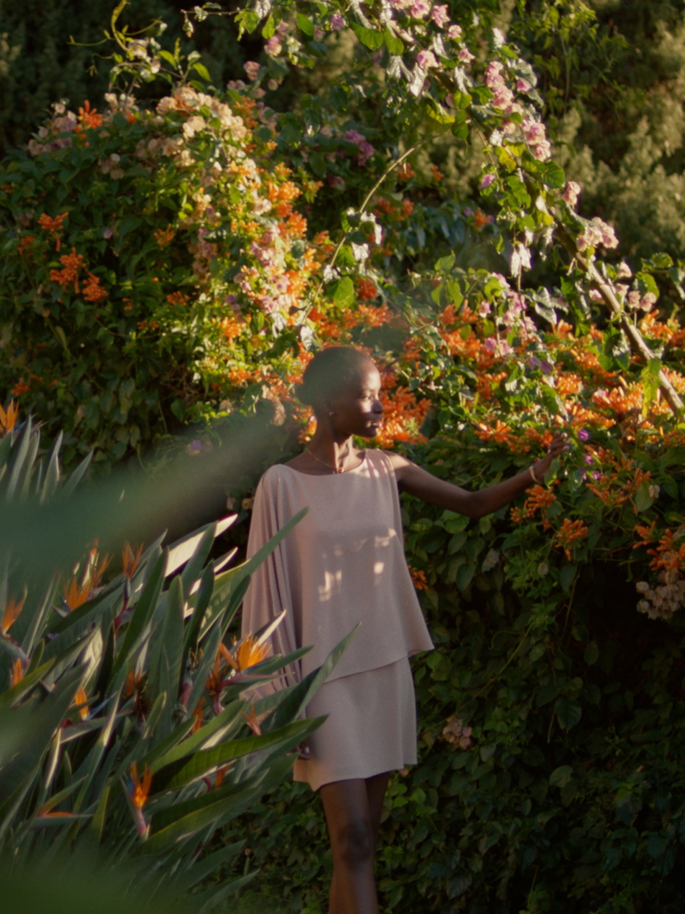 Enchanted summer - Van Cleef & Arpels