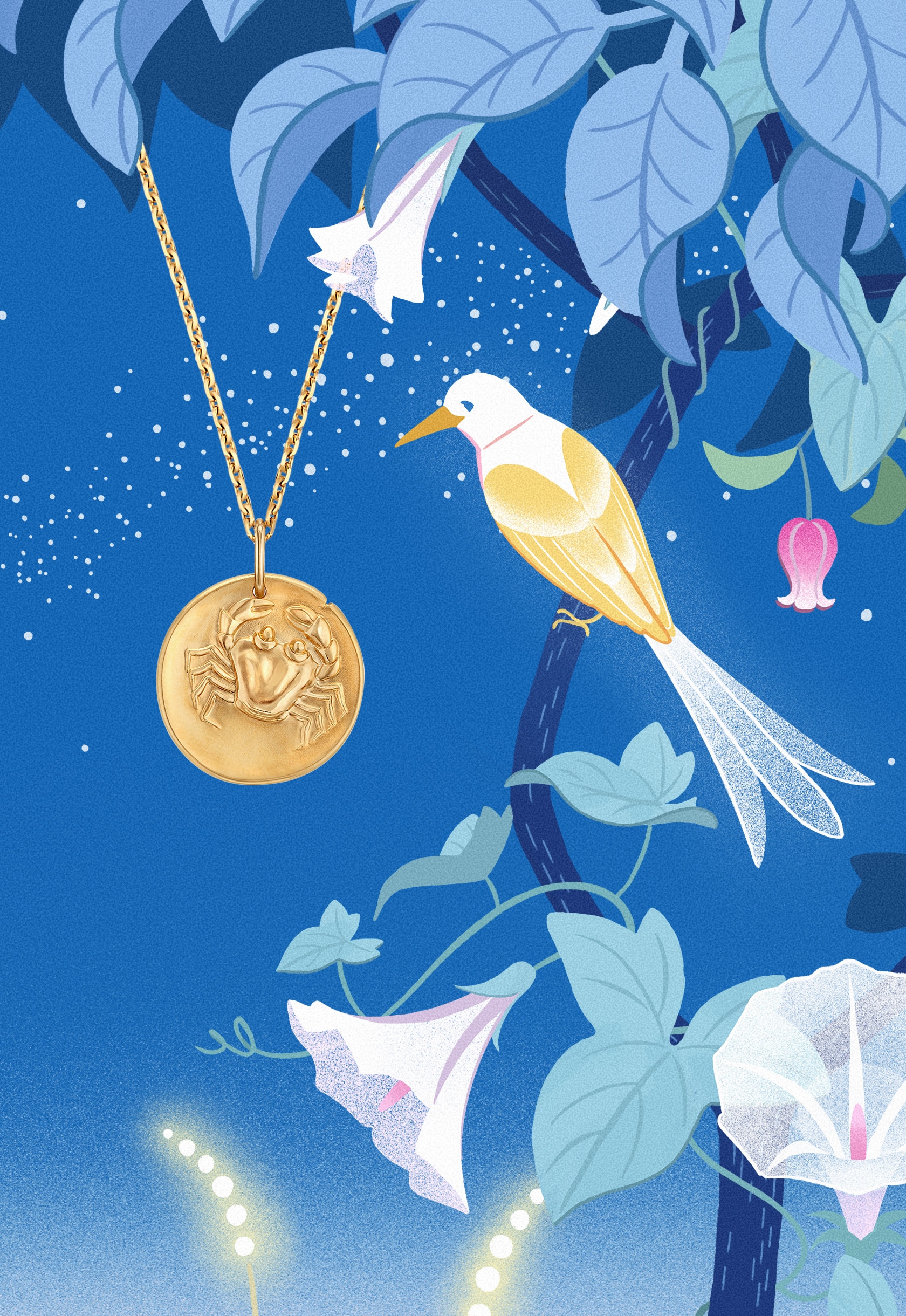 Starry Night Wish - 星ふる夜空に 想いを馳せて - ヴァン クリーフ