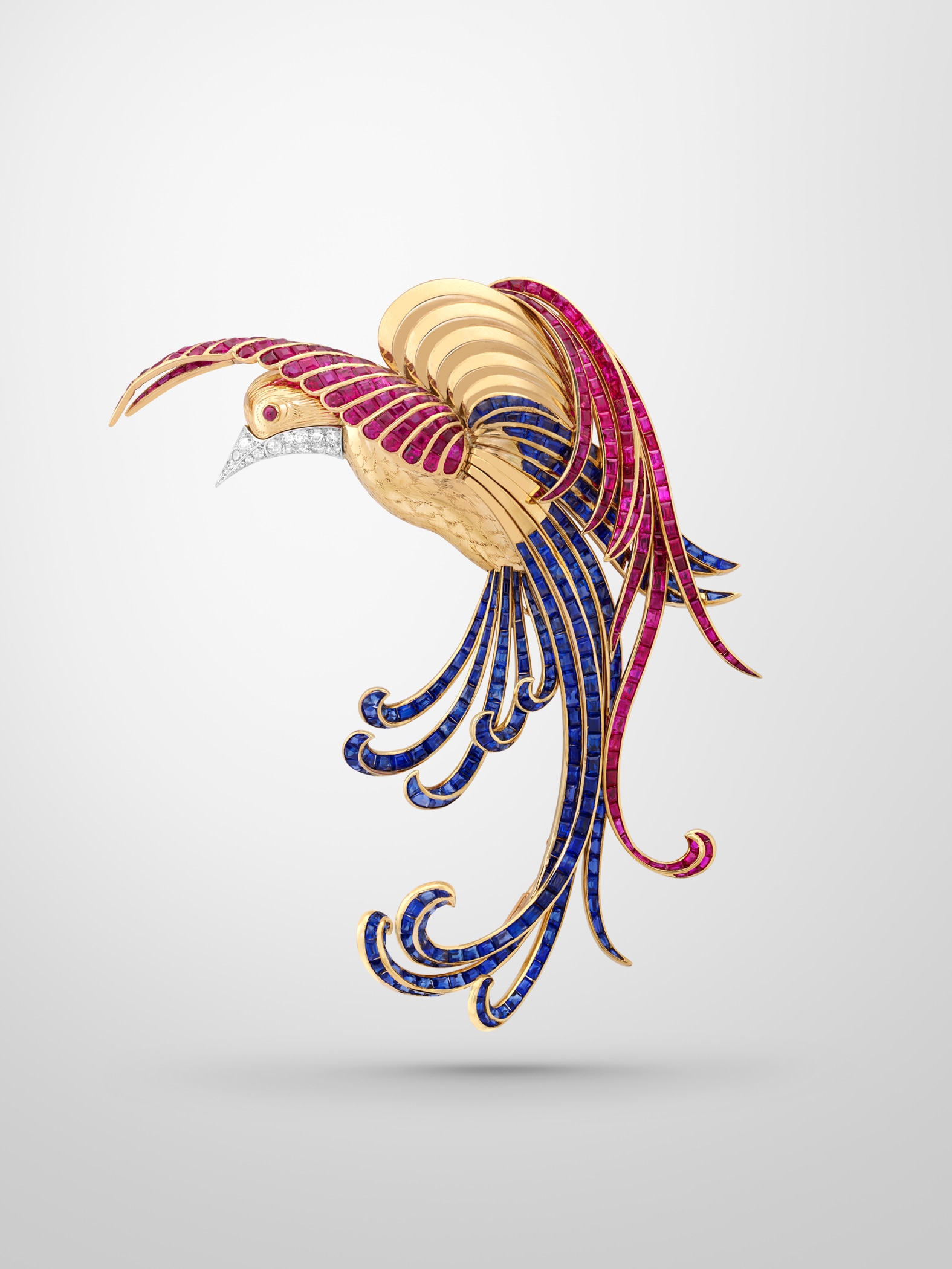 Bird of paradise clip, 1942, yellow gold, platinum, rubies, sapphires, diamonds.Van Cleef & Arpels collection.