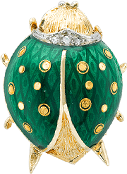 ladybug