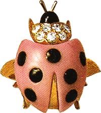 ladybug