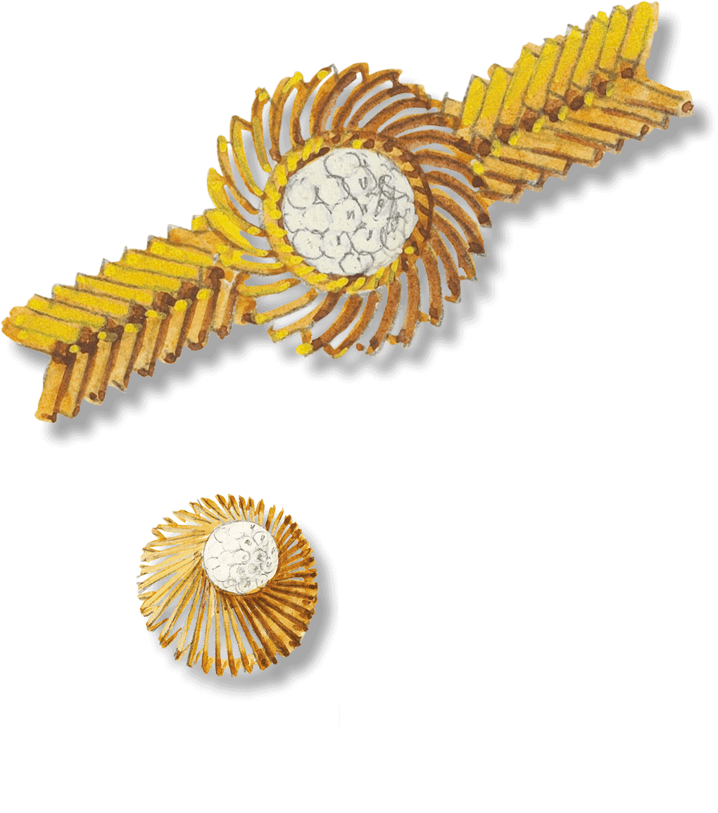 Météore手链腕表作品记录卡,1955年 - Van Cleef & Arpels<br />Météore胸针作品记录卡,1955年 - Van Cleef & Arpels